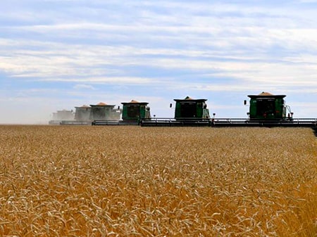 Мука ржаная в Алматы